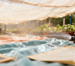 Propagate 15,000 Fire-Adapted Seedlings